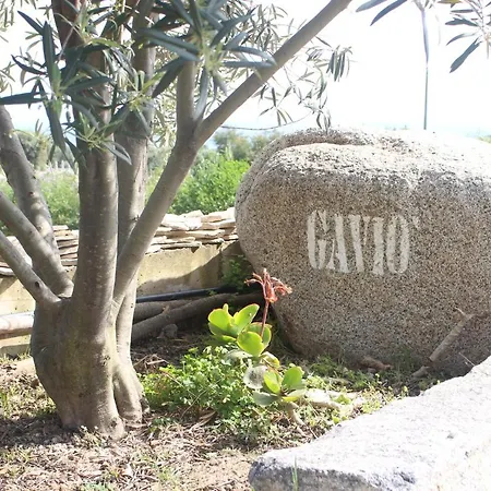 Gavio Bed & Breakfast