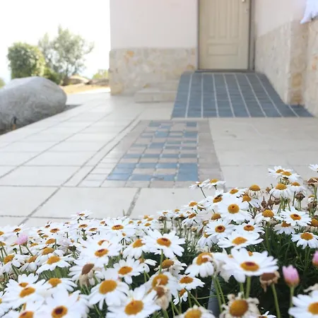 Gavio Bed & Breakfast Ricadi